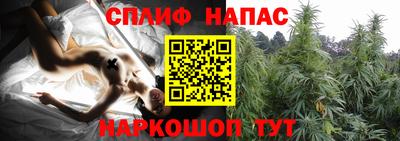 spice Заводоуковск