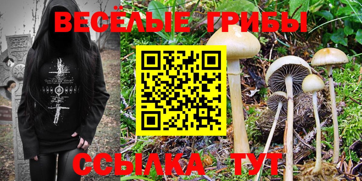 Галлюциногенные грибы Magic Shrooms Ипатово